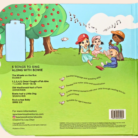 Bowie's school trip music book back cover